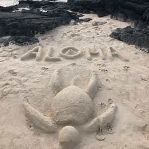 Meet your Posher, Kennedy